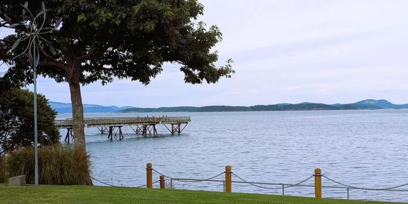 The waterfront pier in Sidney, BC, seen past a large tree, with the Gulf Islands across the water
